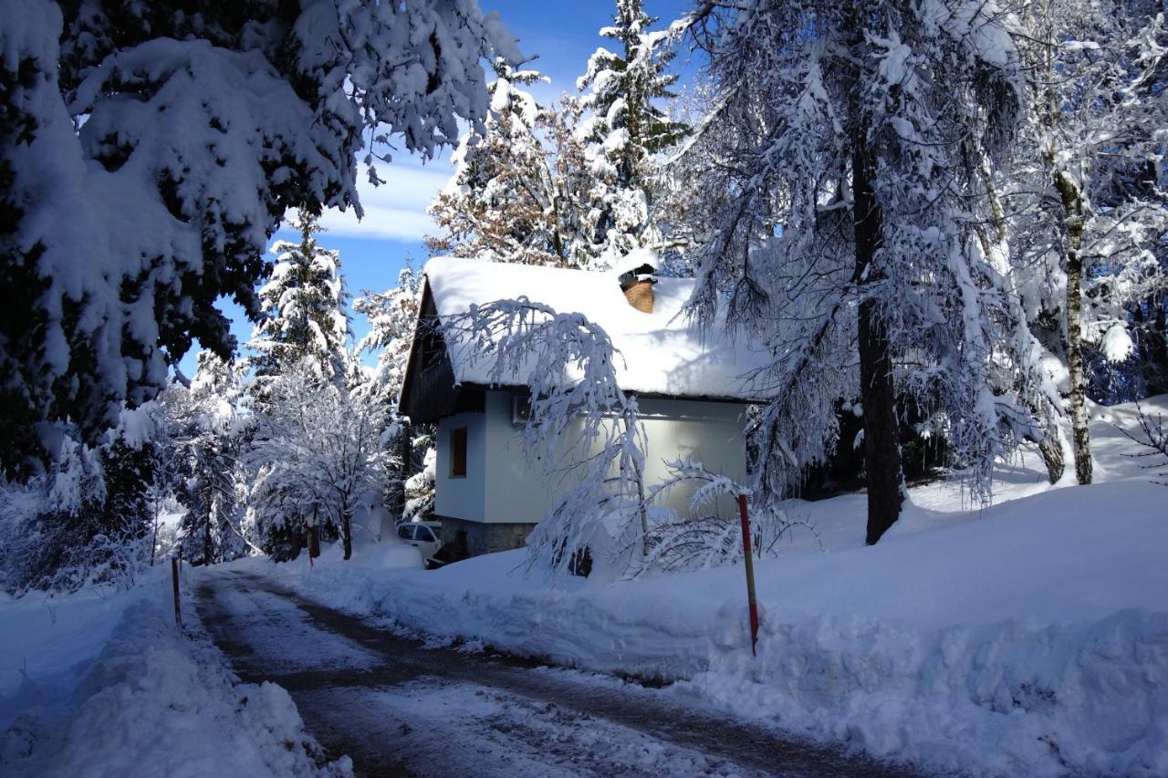 Forest House Vila Vrhnika Exterior foto