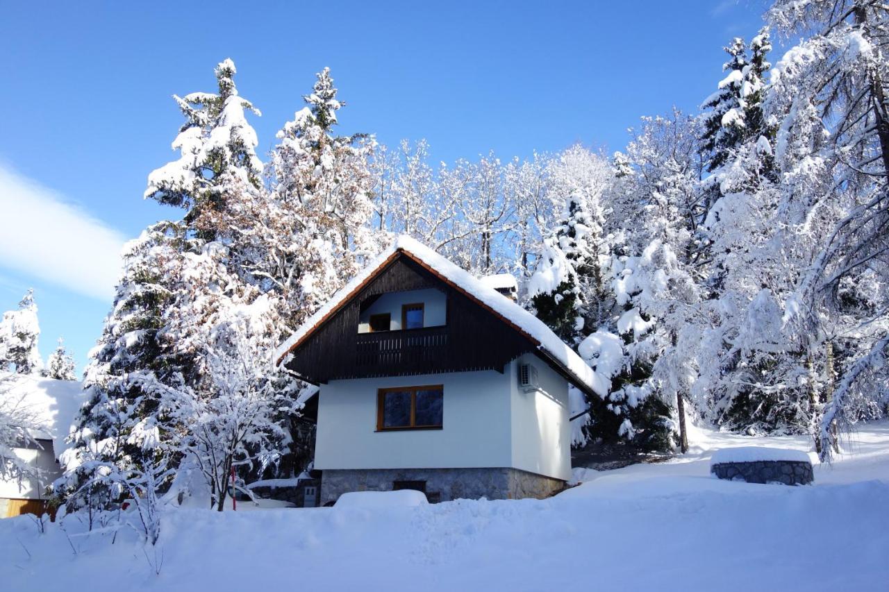 Forest House Vila Vrhnika Exterior foto