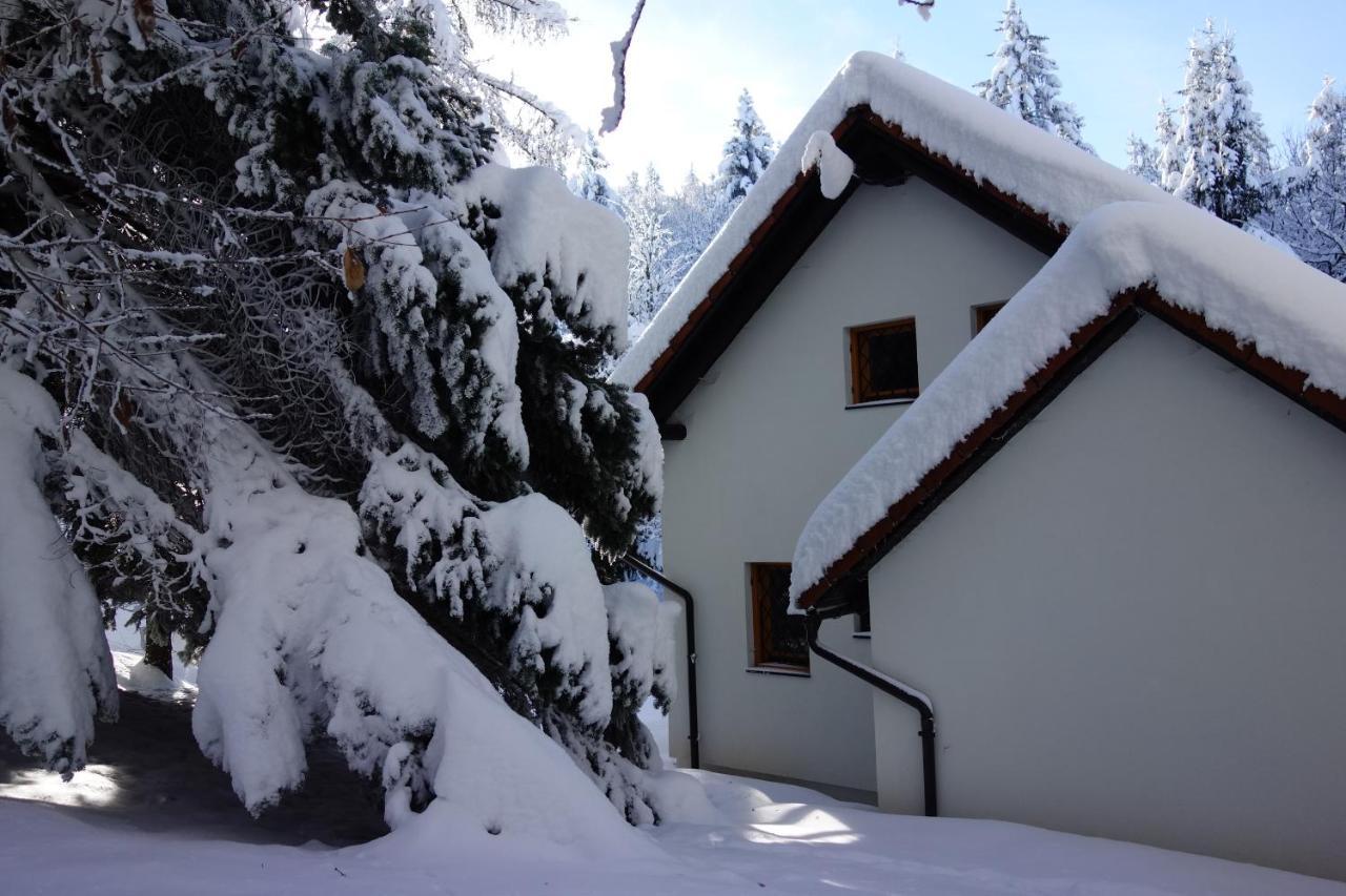 Forest House Vila Vrhnika Exterior foto